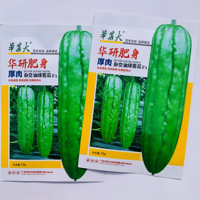 华研肥身苦瓜种子厚肉杂交油绿苦瓜种子抗病高产耐裂耐雨水苦