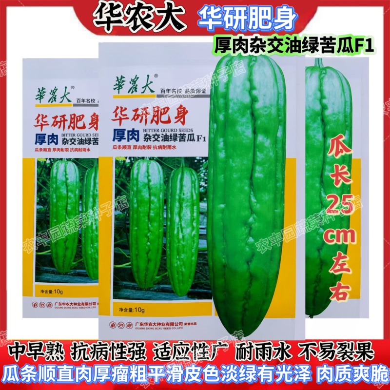 华研肥身苦瓜种子厚肉杂交油绿苦瓜种子抗病高产耐裂耐雨水苦