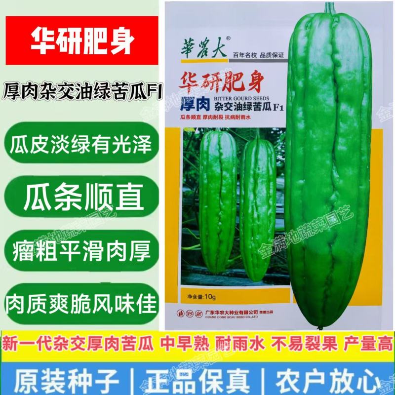 华研肥身苦瓜种子厚肉杂交油绿苦瓜种子抗病高产耐裂耐雨水苦