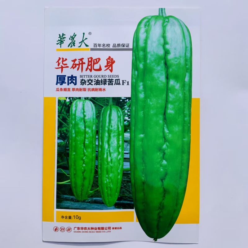 华研肥身苦瓜种子厚肉杂交油绿苦瓜种子抗病高产耐裂耐雨水苦