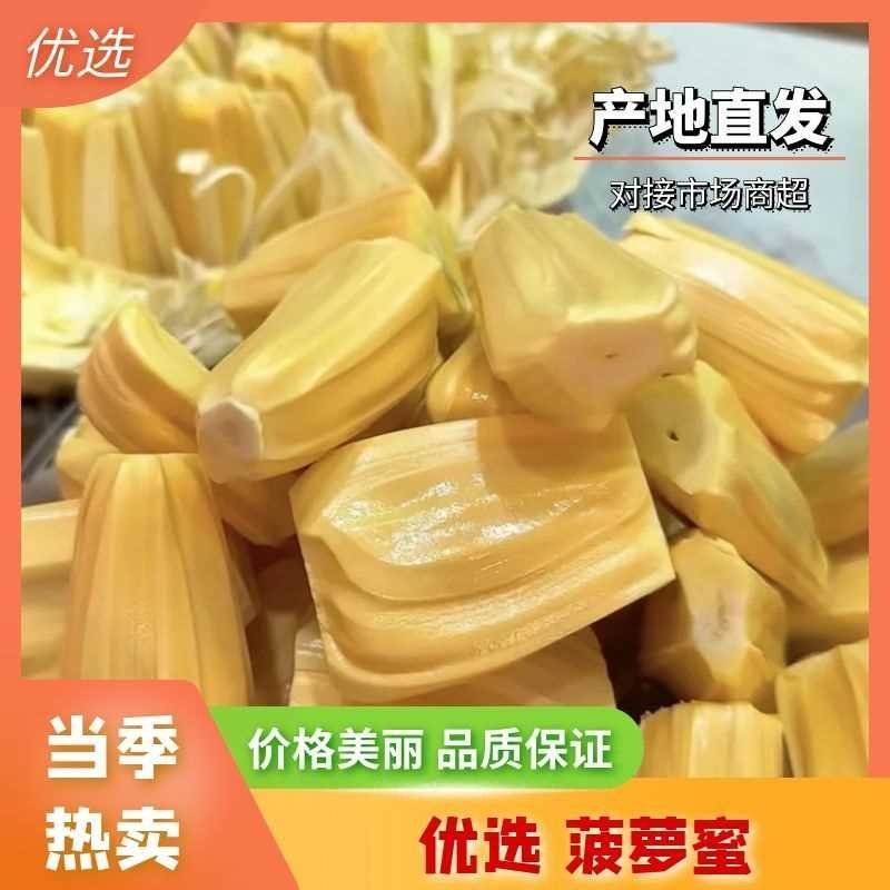 海南红肉菠萝蜜（泰八）产地直供量大从优供全国商超