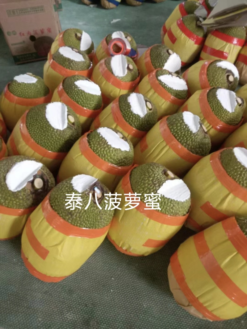 海南红肉菠萝蜜（泰八）产地直供量大从优供全国商超