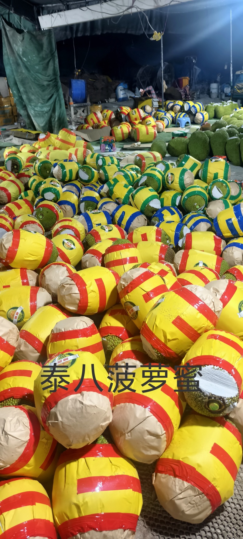 海南红肉菠萝蜜（泰八）产地直供量大从优供全国商超