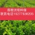 金秋，脆蜜金桔，沃柑川津五号果苗批发或零售量大可以议