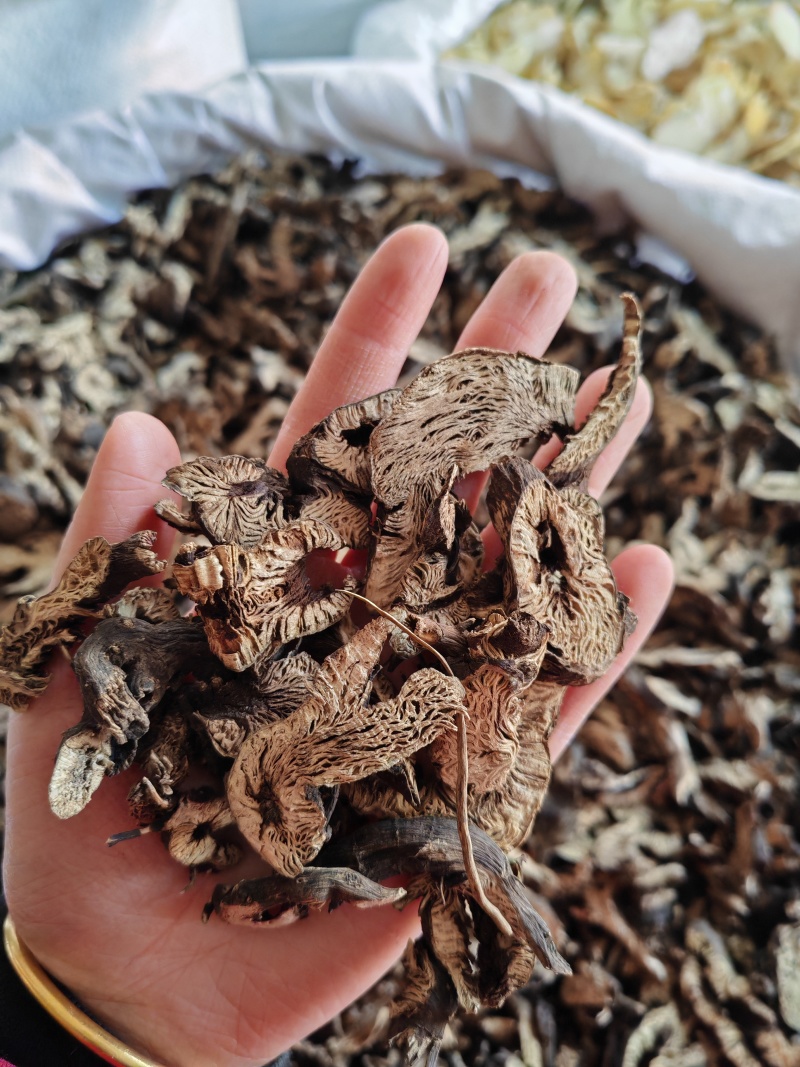 升麻中选升麻永发中药材全品类批发零售实物拍摄