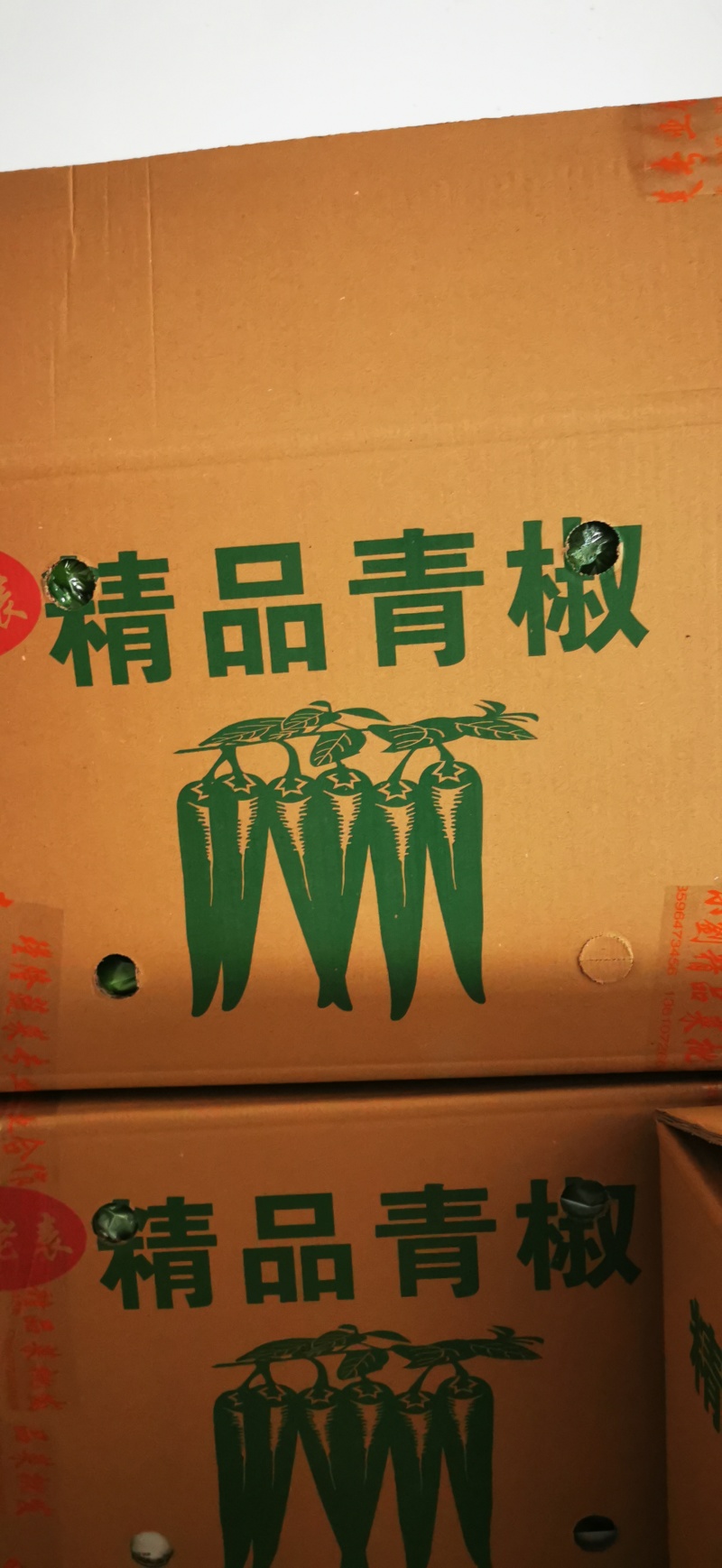 云南保山青椒