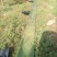 水布袋浇地布水管多袖水带农田灌溉