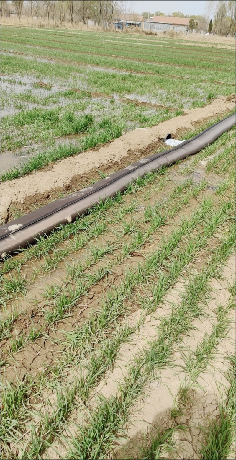 水布袋浇地布水管多袖水带农田灌溉