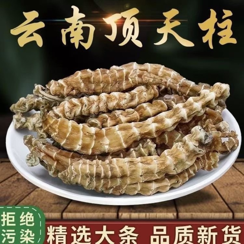 云南虫草参干货地蚕竹节参