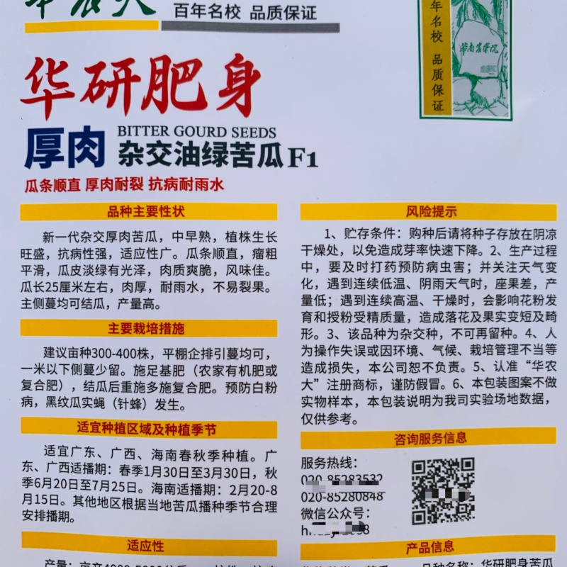 华农大华研肥身油绿苦瓜种子厚肉抗病种籽杂交大肉苦瓜种子