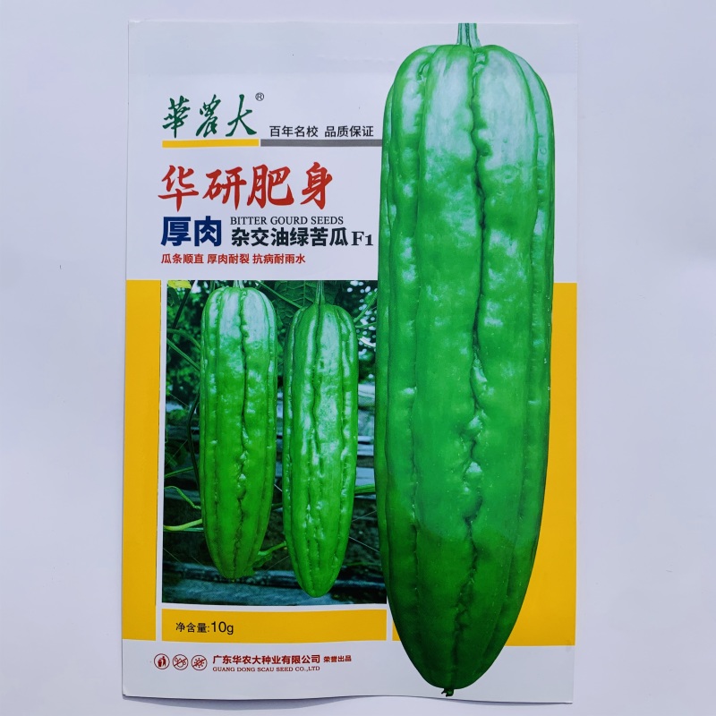 华农大华研肥身油绿苦瓜种子厚肉抗病种籽杂交大肉苦瓜种子
