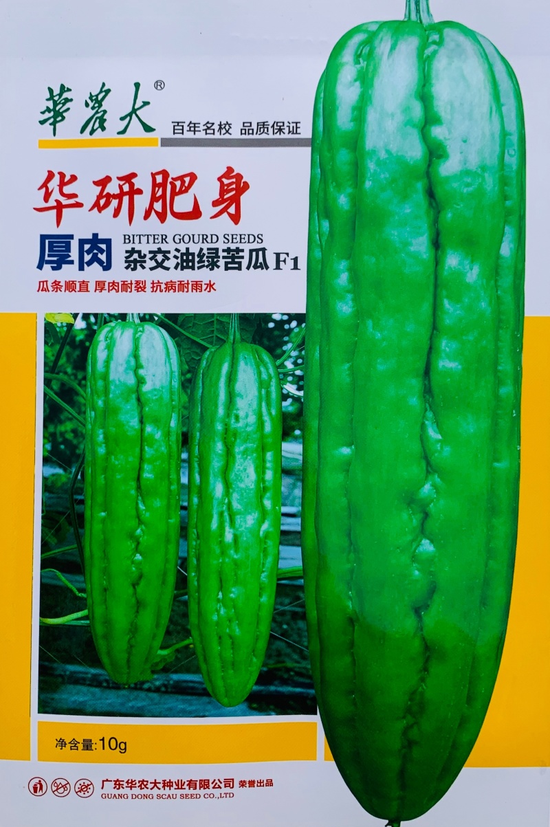 华农大华研肥身油绿苦瓜种子厚肉抗病种籽杂交大肉苦瓜种子
