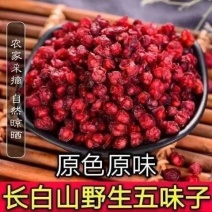 五味子批发五味子一手货源量大价优对接实体批发零售