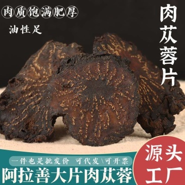 肉苁蓉硬质片一手货源量大价优对接实体批发零售