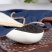 正宗台湾网红花茶可食用兰香子无硫奶茶饮料大货批发
