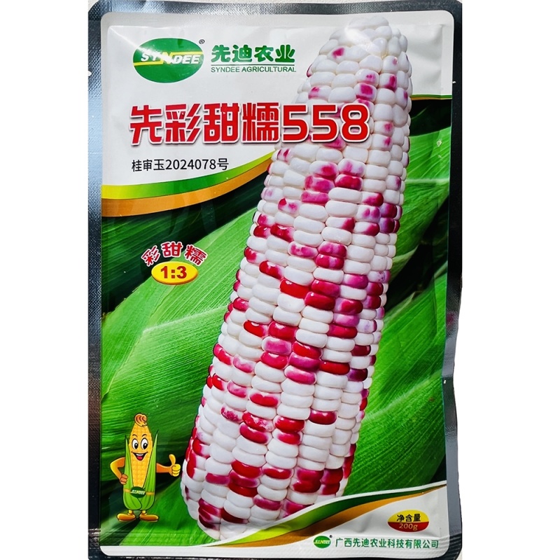 先彩甜糯558糯玉米种子糯黏玉米种籽彩糯香高产超甜玉