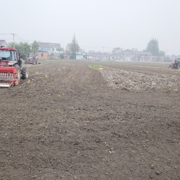 转租300亩蔬菜大棚设施项目土地流转出租