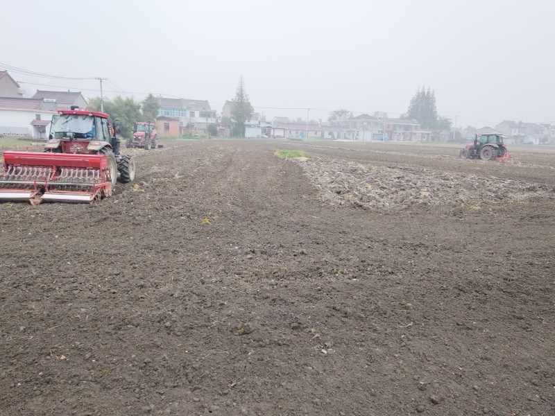 转租300亩蔬菜大棚设施项目土地流转出租