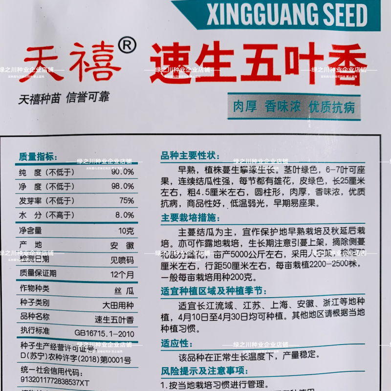 天禧速生五叶香丝瓜种子白籽香味浓极早熟丝瓜种子黑籽香丝瓜