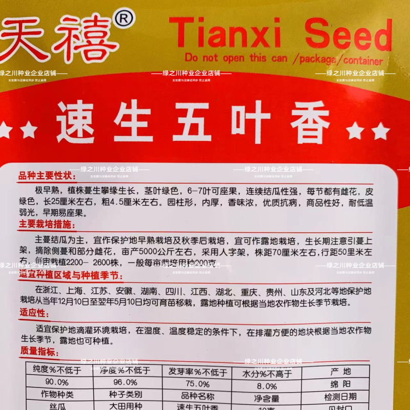天禧速生五叶香丝瓜种子白籽香味浓极早熟丝瓜种子黑籽香丝瓜