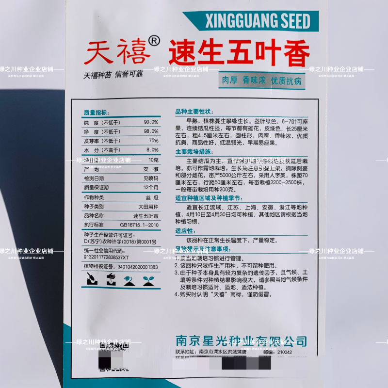 天禧速生五叶香丝瓜种子白籽香味浓极早熟丝瓜种子黑籽香丝瓜