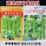 天禧速生五叶香丝瓜种子白籽香味浓极早熟丝瓜种子黑籽香丝瓜