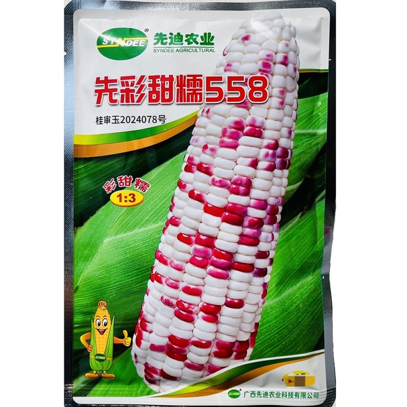 先彩甜糯558玉米种子早熟加甜大棒花糯玉米细轴高产耐