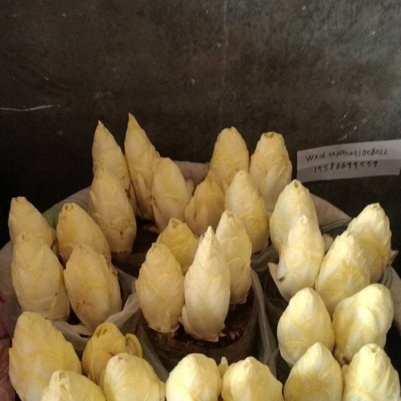 金玉兰菜质优价廉、富含多种维生素和矿物质脆香甜自产自销送