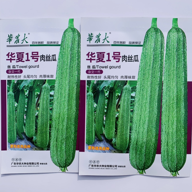 华夏1号肉丝瓜种子高产夏秋耐热有棱丝瓜种籽子蔬菜