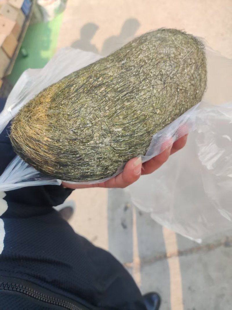 猪宝