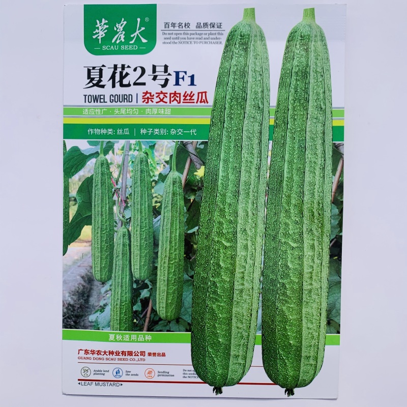 华农大夏花2号杂交肉丝瓜种子富丽春夏秋季耐高温花点棱丝瓜
