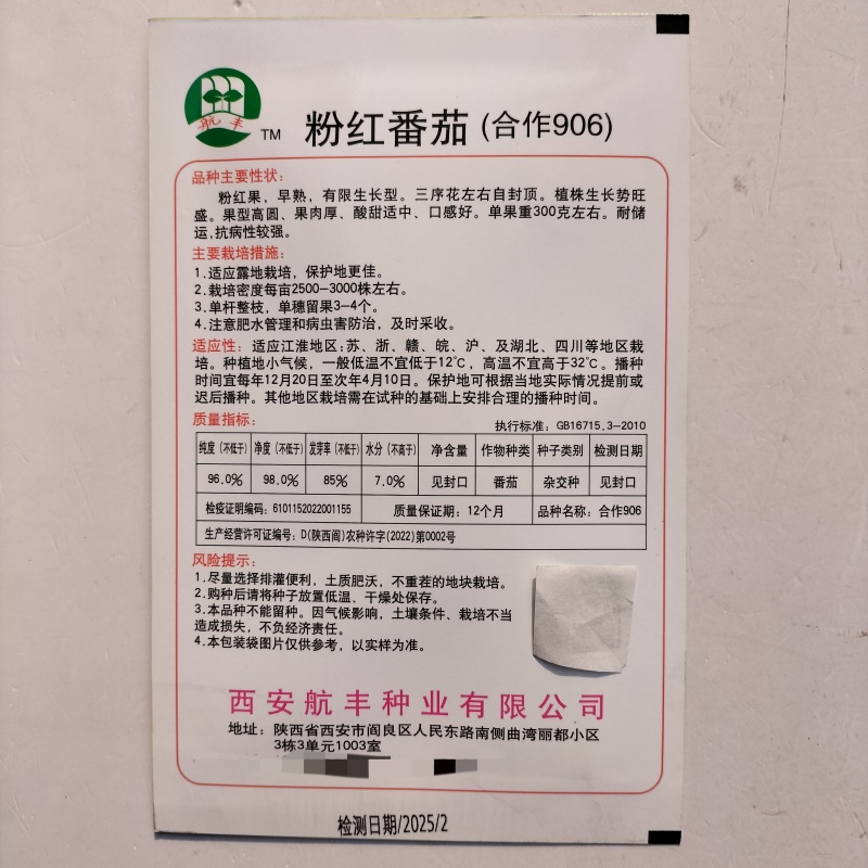 粉红番茄合作906西红柿种子原装粉红色果早熟口感好番茄种