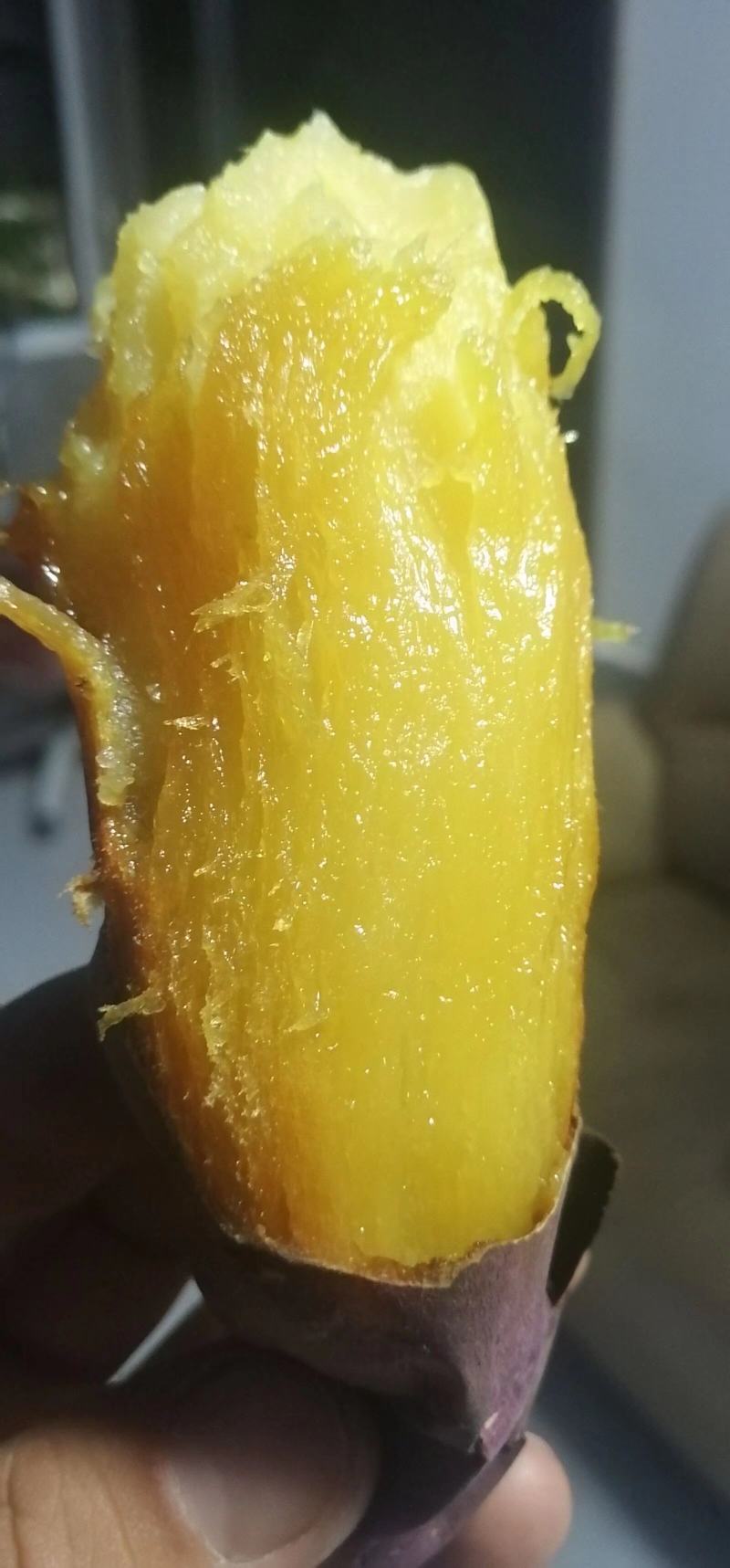 出售脱毒红薯苗：红瑶！基地直发，保证品质！