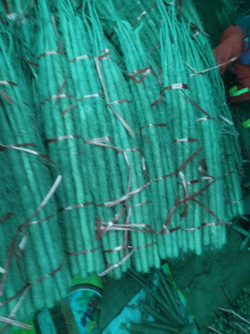 铁棍山药大量现货供应