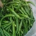 山东临沂临朐新苗杭椒大量上市，价格优美，欢迎致电