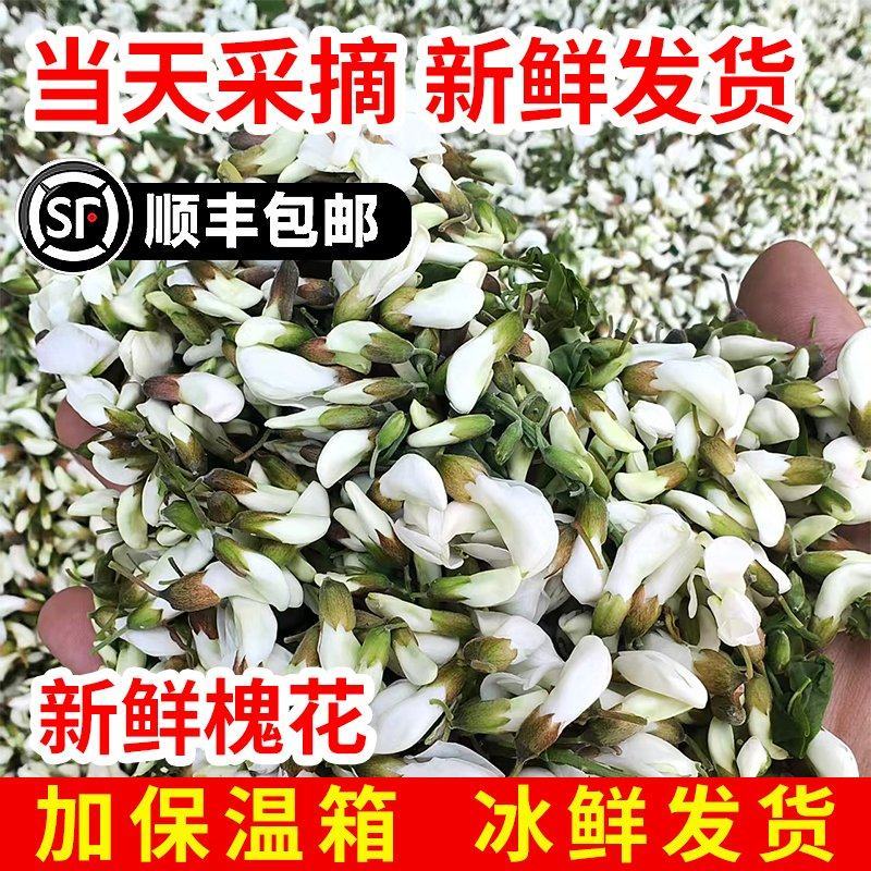 2025新鲜洋槐花，当天采摘发货，大山里的野菜，应季蔬菜