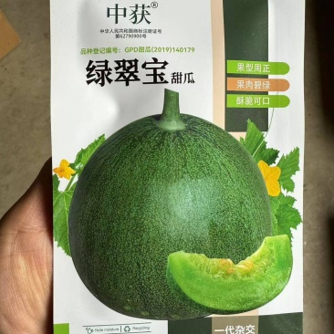 绿翠宝甜瓜种子200粒原装绿宝石甜瓜种子果型周正