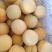山东沂蒙山精品黄金黄桃，个大纯甜无酸欢迎新老客户实地考察
