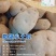 恩施小土豆