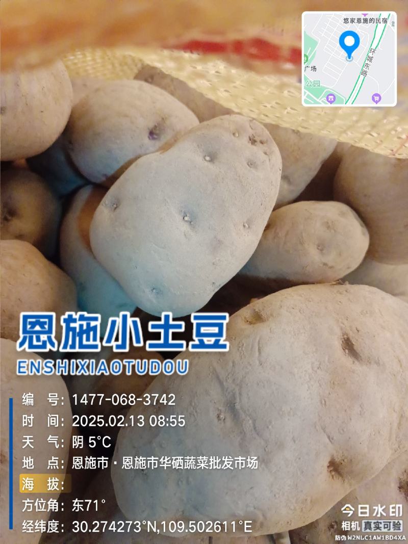 恩施小土豆