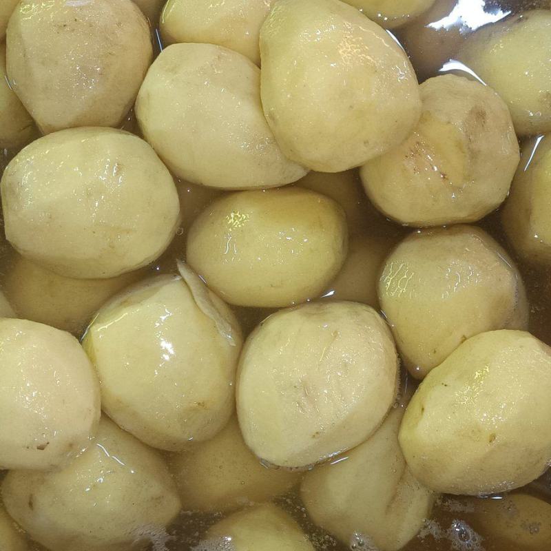 恩施小土豆