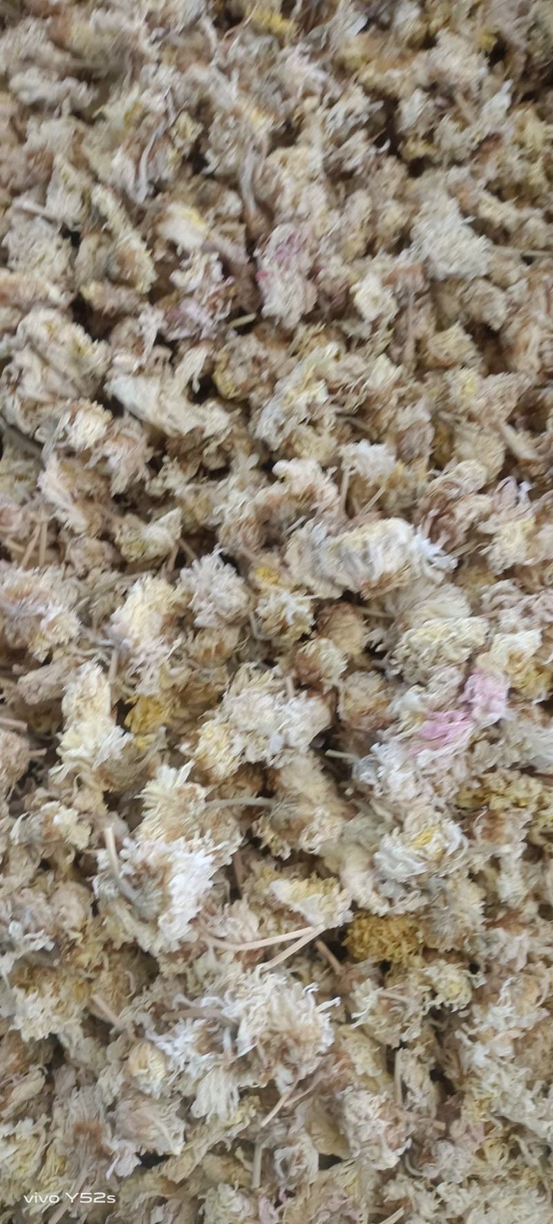 菊花各种花茶批发，应有尽有