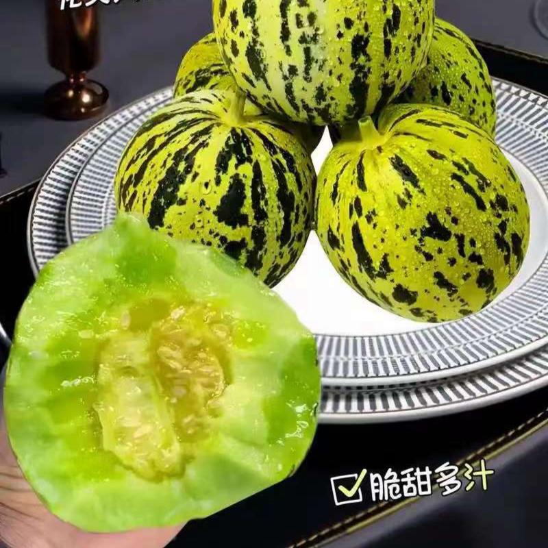山东甜瓜，花蕾甜瓜香甜好吃不贵，价格优美，欢迎各大采购商