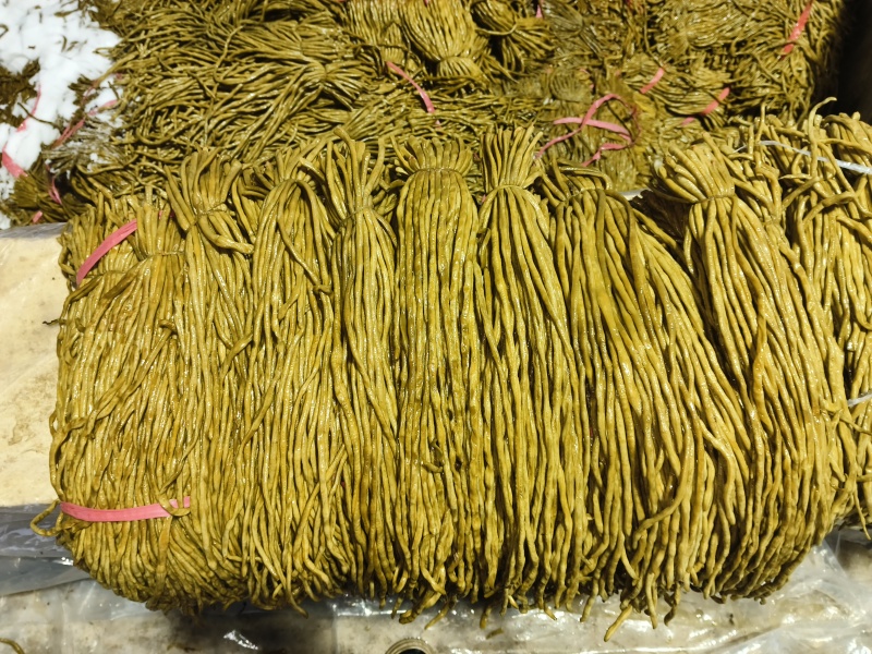 湖南酸豆角源头好货脆嫩条形好腌制厂带检测报告
