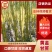 【热卖】云南甘蔗黄皮甘蔗规格齐全见货定价欢迎来电咨询
