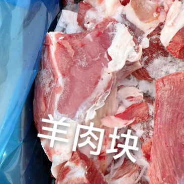 羔羊羊肉块到货