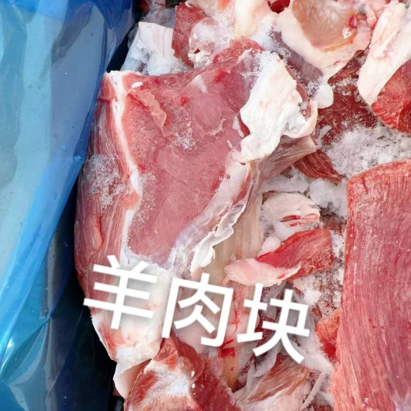 羔羊羊肉块到货