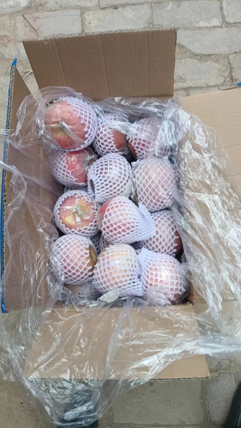 山东富士苹果。大量出库中。口感超甜。多汁。一手货源