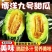 博洋9号甜瓜产地批发源头好货