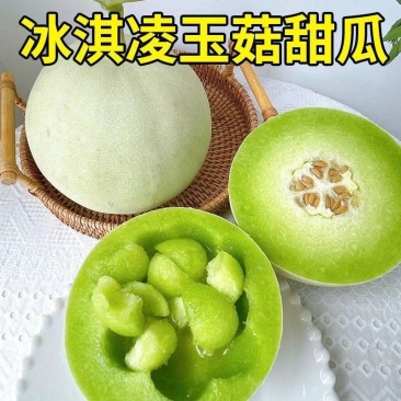 玉菇甜瓜产地批发源头好货